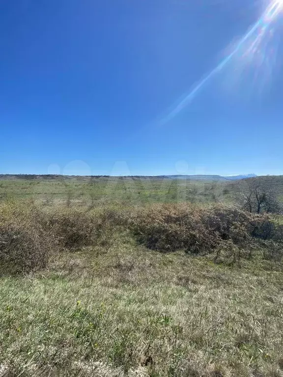 Участок 3,5 га (СНТ, ДНП) - Фото 1