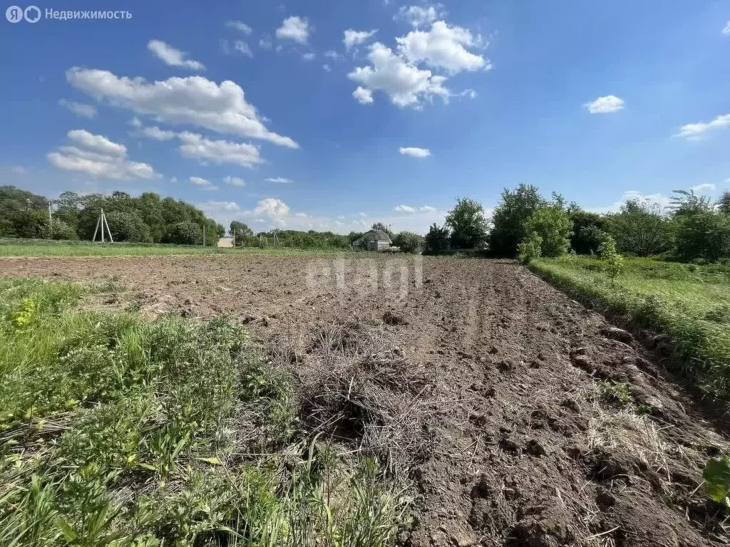 Участок в Московская область, городской округ Коломна, деревня ... - Фото 1