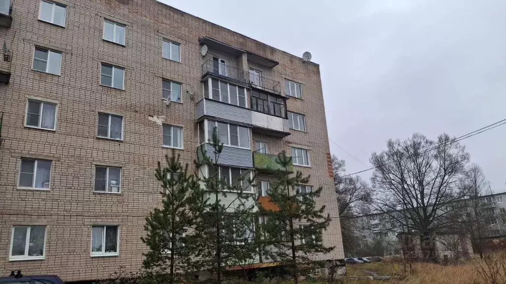 1-к кв. Новгородская область, Малая Вишера Лесная ул., 13 (35.8 м) - Фото 1