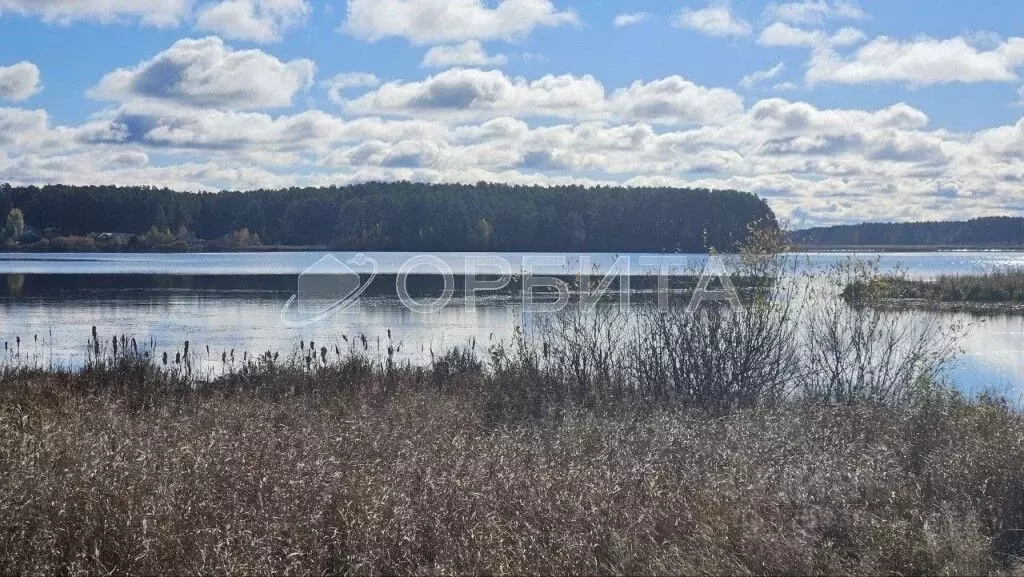 Участок в Свердловская область, Тугулымский муниципальный округ, пос. ... - Фото 1