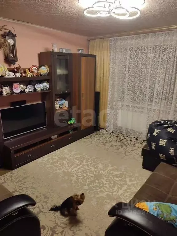 3-к кв. Калужская область, Бабынинский муниципальный округ, Утешево ... - Фото 2