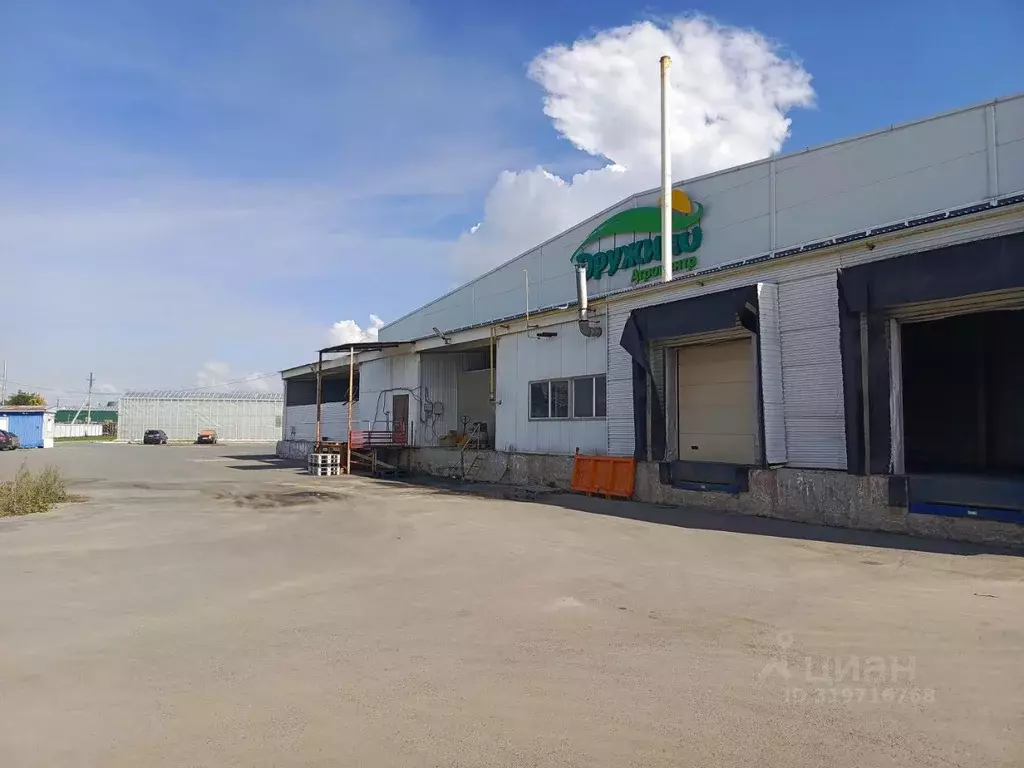Склад в Омская область, Омский район, с. Дружино Сибирская ул., 2Б ... - Фото 0