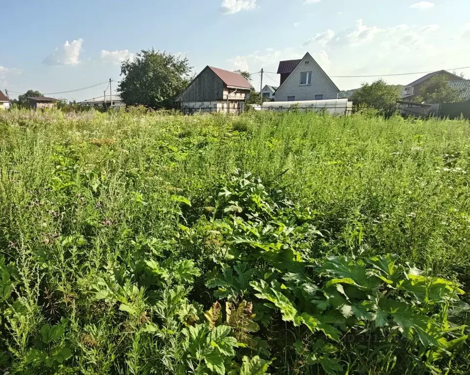 Участок в Калужская область, Мещовск городское поселение, д. ... - Фото 0