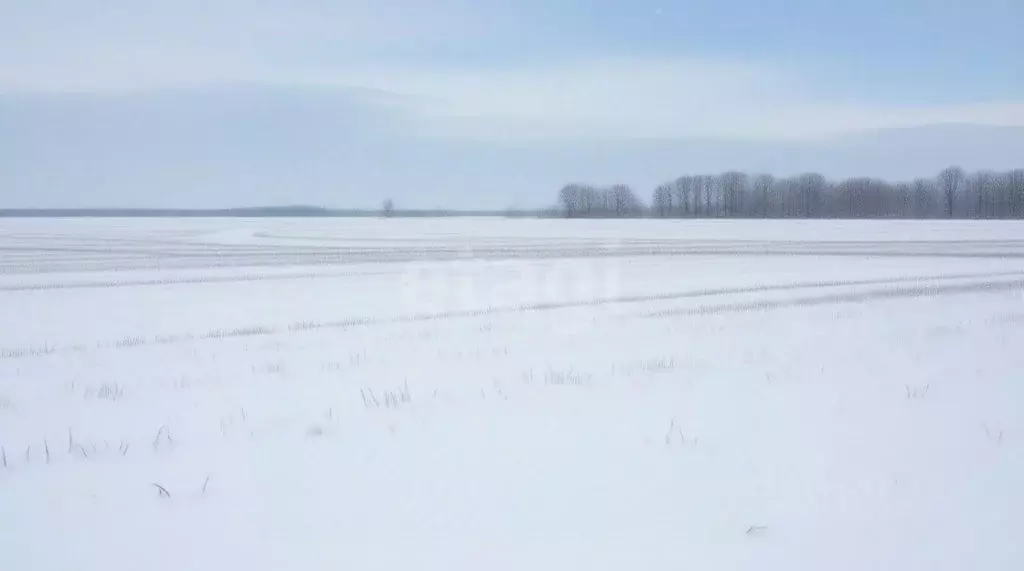 Участок в Тульская область, Новомосковск Сокольники мкр,  (13.1 сот.) - Фото 2
