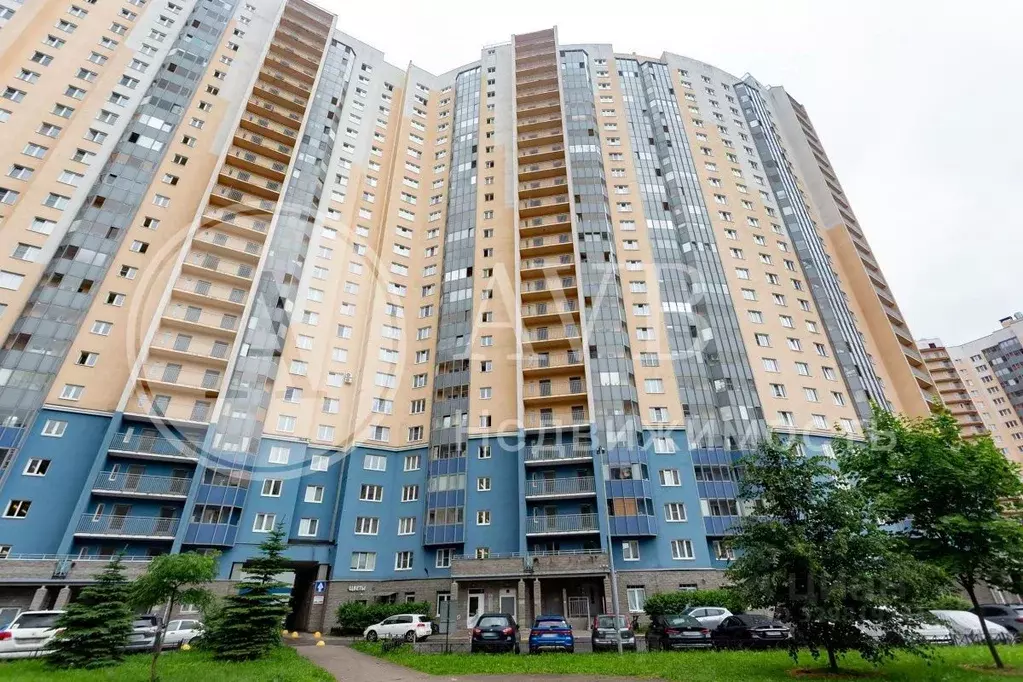 Комната Санкт-Петербург ул. Белышева, 5/6 (19.0 м) - Фото 1