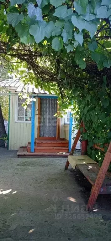 Дом в Амурская область, с. Ивановка ул. Партизанская, 94 (50 м) - Фото 2