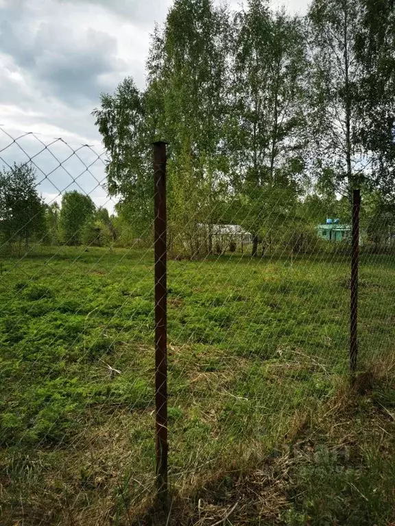 Участок в Московская область, Орехово-Зуевский городской округ, Азот ... - Фото 2