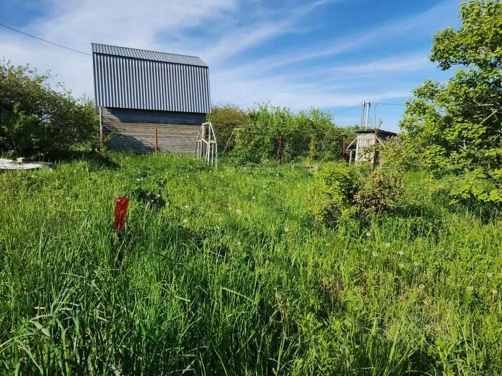 Участок в Нижегородская область, Кстово Сосновское-2 СНТ, 128 (8.3 ... - Фото 1