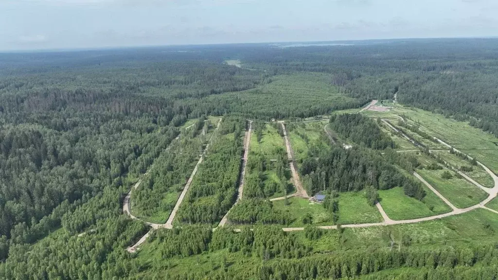 Участок в Ленинградская область, Приозерский район, Раздольевское ... - Фото 1