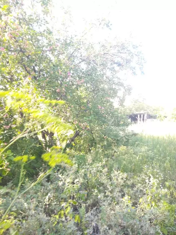 Дом в Курганская область, Курган Восход СНТ,  (24 м) - Фото 2