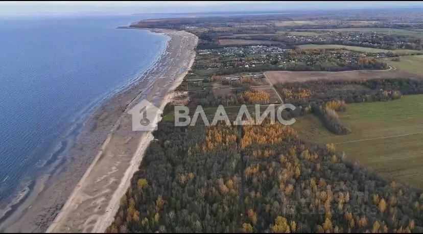 Участок в Ярославская область, Рыбинский муниципальный округ, ... - Фото 0