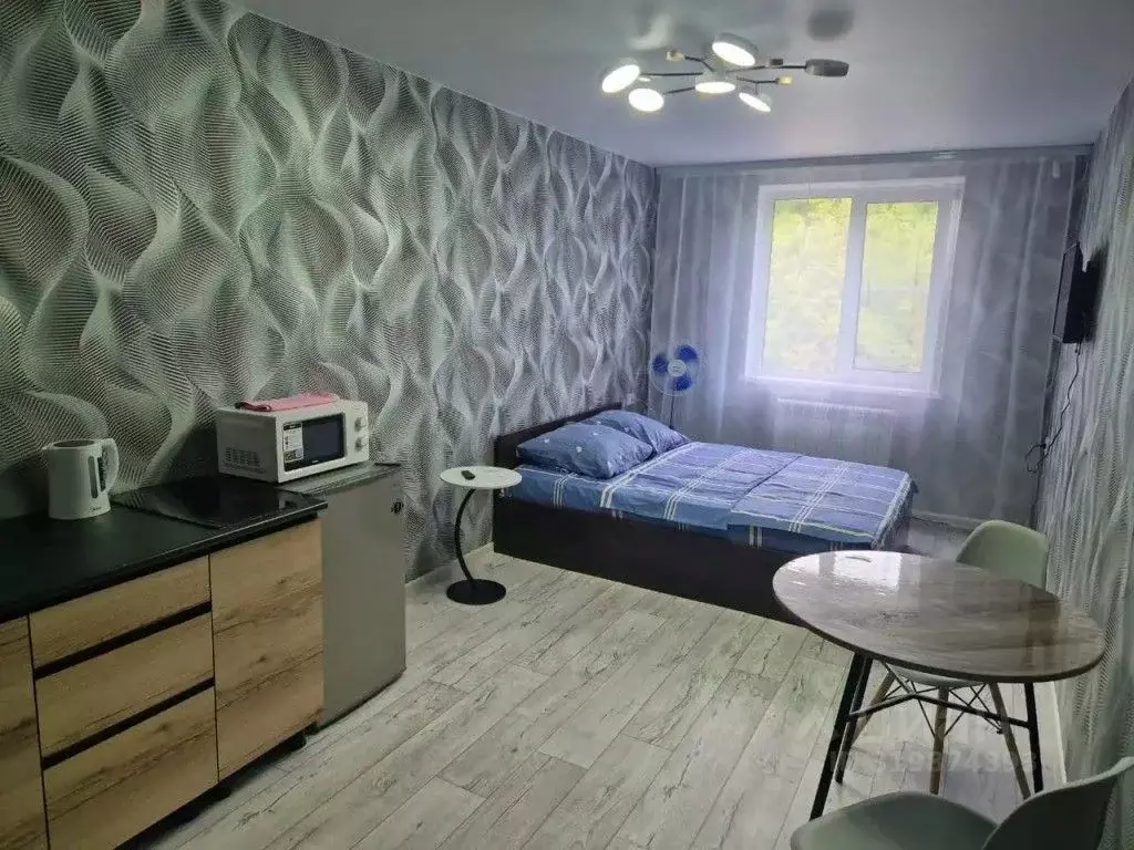 1-к кв. Томская область, Томск Петропавловская ул., 1/2 (30.0 м) - Фото 0
