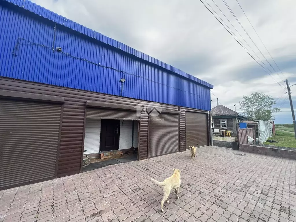 Участок в Новосибирская область, Коченевский район, д. Буньково ... - Фото 1