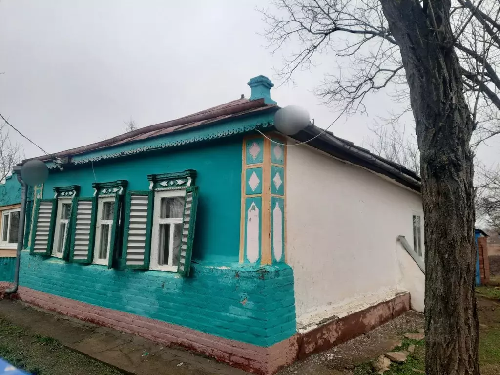 Дом в Ростовская область, Азовский район, с. Александровка  (65 м) - Фото 1