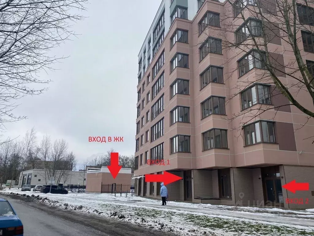 Помещение свободного назначения в Санкт-Петербург, Санкт-Петербург, ... - Фото 1