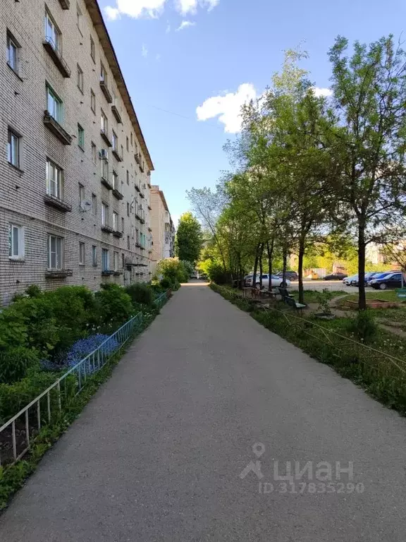 1-к кв. Псковская область, Великие Луки Вокзальная ул., 8 (29.0 м) - Фото 0
