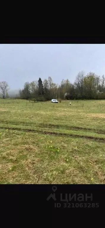 Участок в Ленинградская область, Тосненский район, Трубникоборское ... - Фото 1