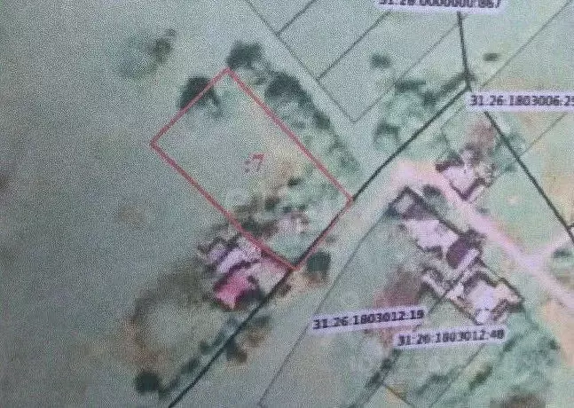 Участок в Белгородская область, Валуйский муниципальный округ, с. ... - Фото 0