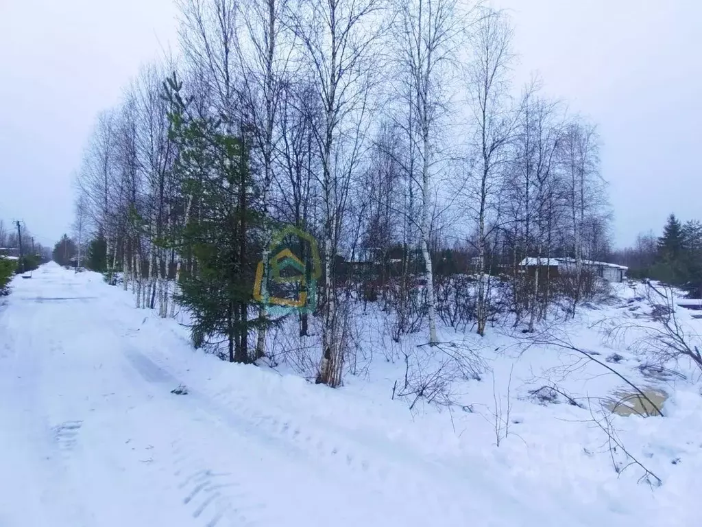 Участок в Ленинградская область, Выборгский район, Рощинское городское ... - Фото 0