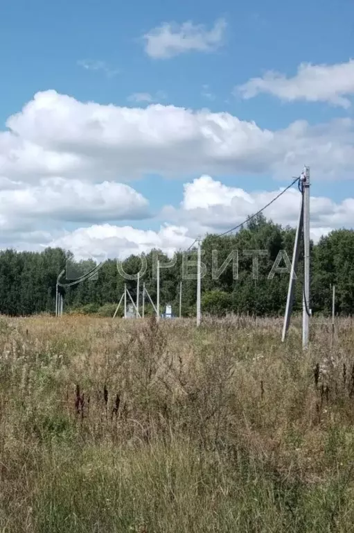 Участок в Тюменская область, Тюменский муниципальный округ, д. Большие ... - Фото 1