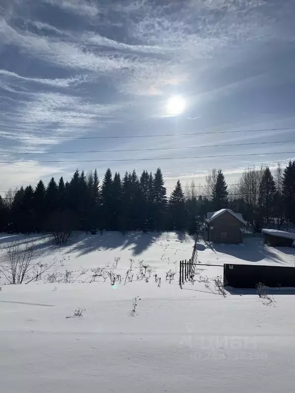 Участок в Пермский край, Пермский муниципальный округ, д. Заозерье ... - Фото 2