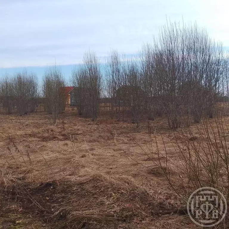Участок в Ленинградская область, Ломоносовский район, Лопухинское ... - Фото 2