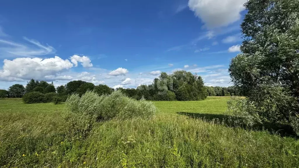 Участок в Калужская область, Бабынинский муниципальный округ, ... - Фото 2