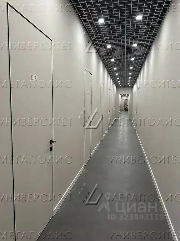 Офис в Московская область, Дедовск г. Истра муниципальный округ, ул. ... - Фото 2