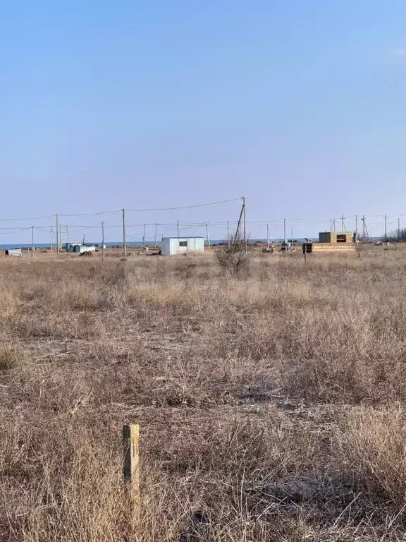 Участок в Крым, Раздольненский район, Славновское с/пос, Отдых СНТ  ... - Фото 1