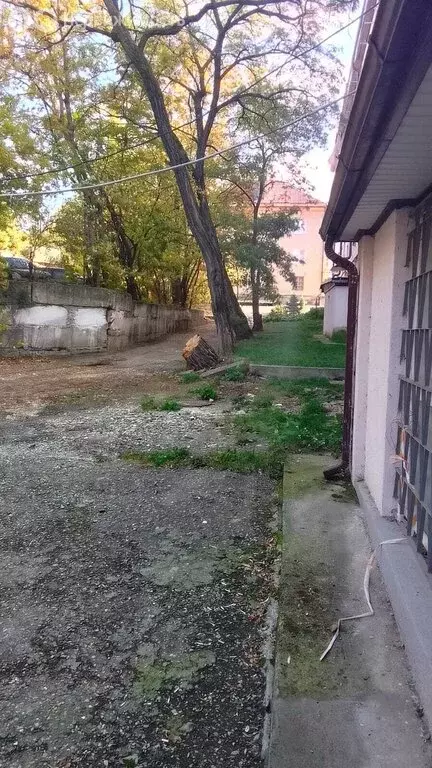 Помещение свободного назначения (160 м) - Фото 1