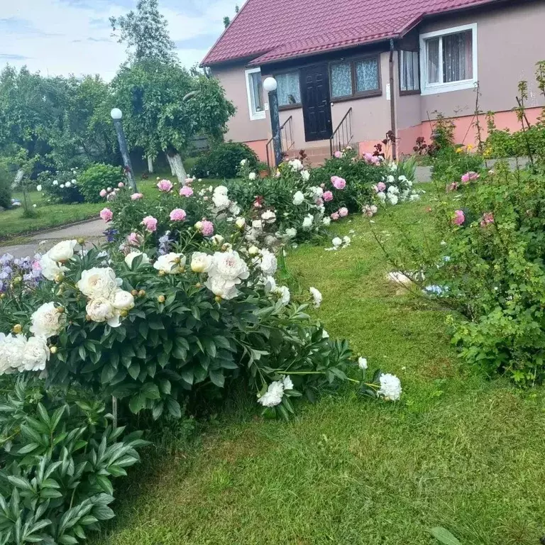 Дом в Калининградская область, Неманский муниципальный округ, пос. ... - Фото 2