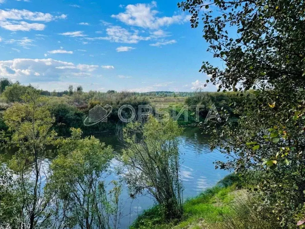 Участок в Тюменская область, Тюменский район, Солнышко садоводческое ... - Фото 1