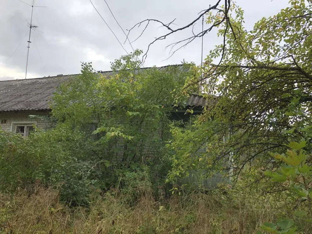 Дом в Ленинградская область, Гатчинский муниципальный округ, Дружная ... - Фото 2