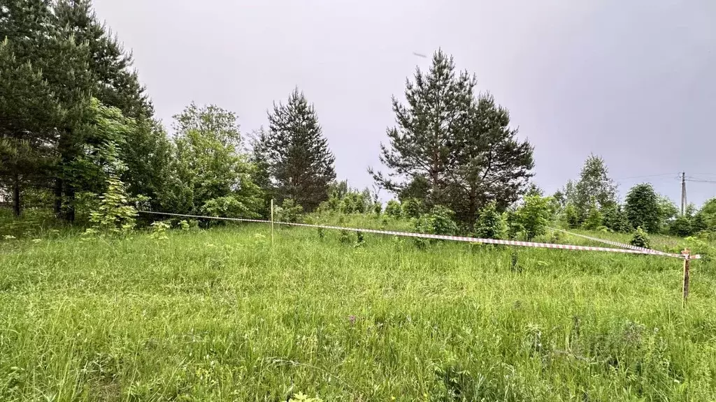 Участок в Калужская область, Дзержинский район, Рудня с/пос, д. Матово ... - Фото 2