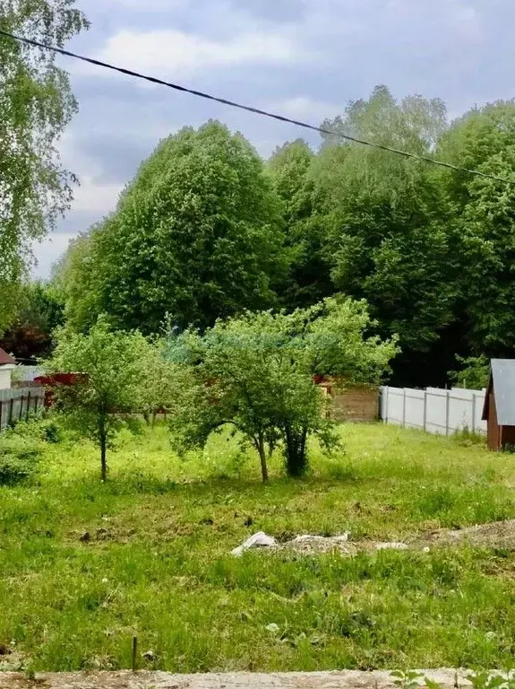 Участок в Калужская область, Жуковский район, Истье с/пос, д. Воробьи ... - Фото 2