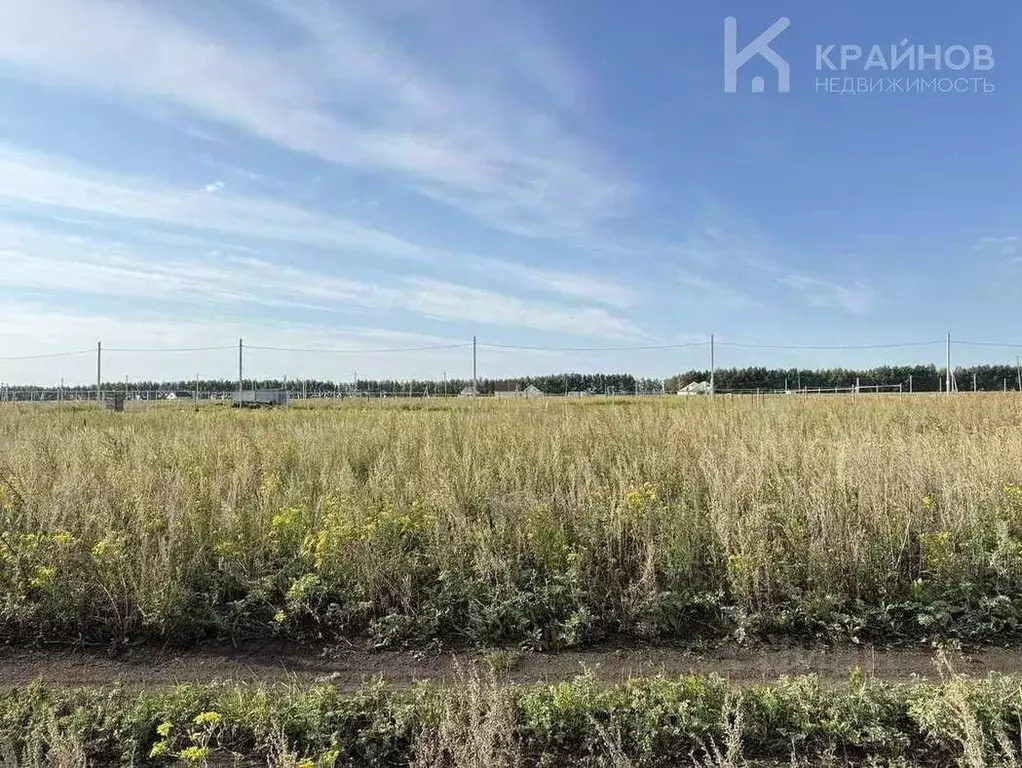 Участок в Воронежская область, Семилукский район, Стрелица рп  (10.62 ... - Фото 2