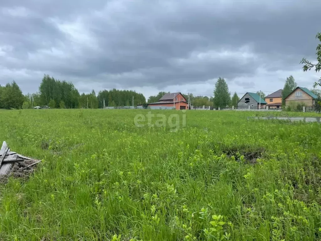 Участок в Новосибирская область, Искитимский район, Морозовский ... - Фото 0