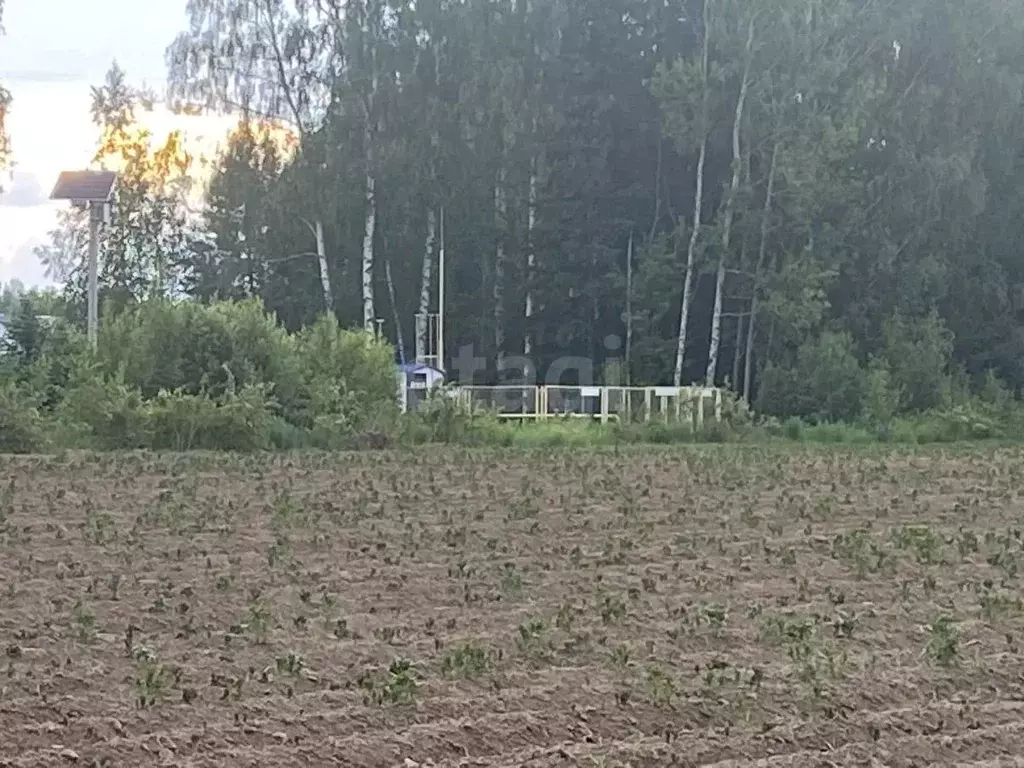 Участок в Нижегородская область, Городецкий муниципальный округ, д. ... - Фото 1