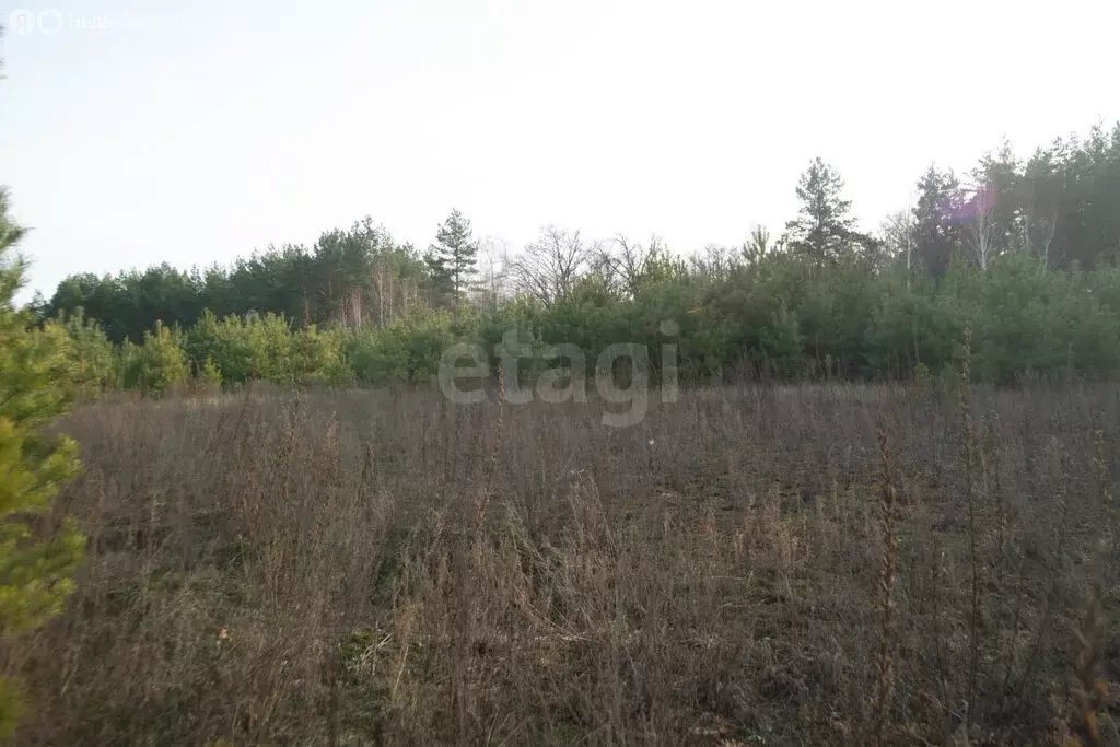 Участок в село Архангельское, микрорайон Зенит, Брусничная улица (10 ... - Фото 1
