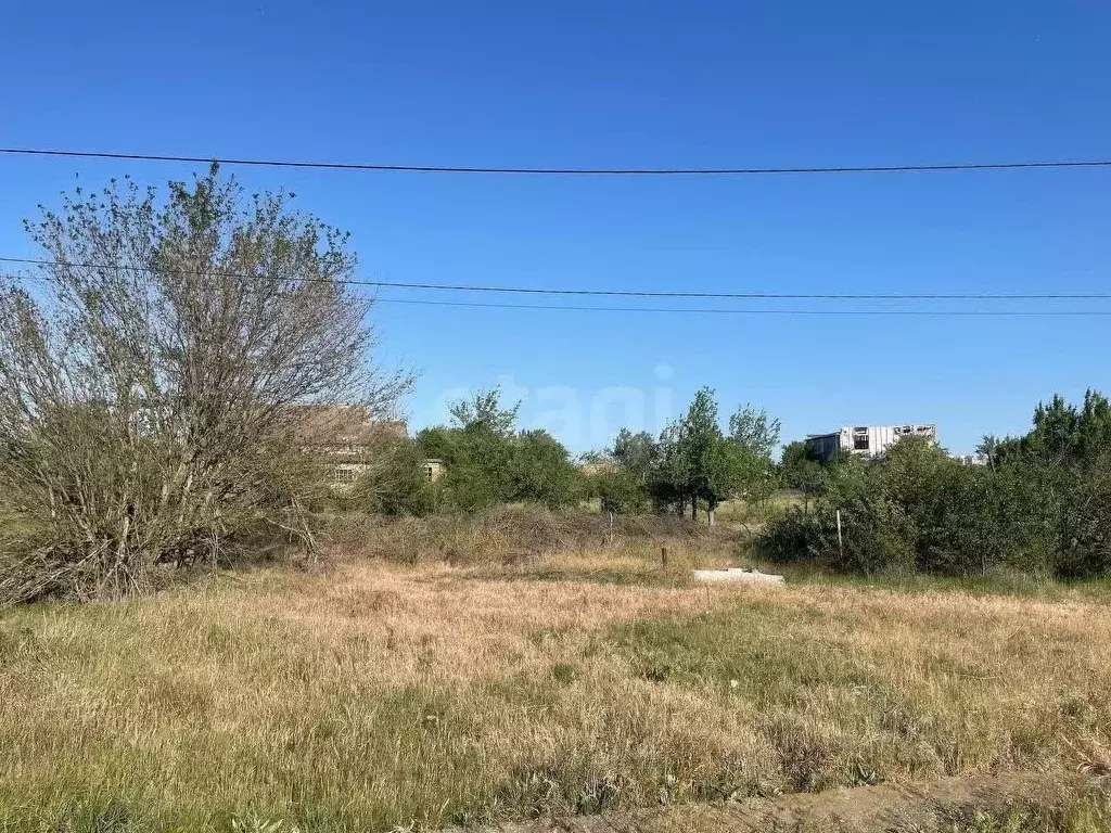 Участок в Крым, Красногвардейский район, с. Полтавка ул. Гридасова ... - Фото 0