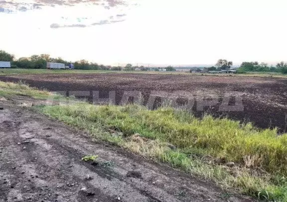 Участок в село Средний Егорлык, улица Энтузиастов (130 м) - Фото 1