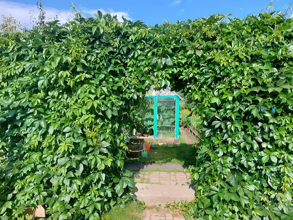 Дом в Свердловская область, Березовский Пионерская ул., 31 (83 м) - Фото 1