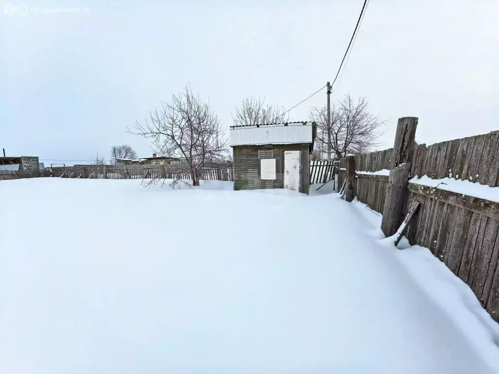 Участок в Омск, садоводческое некоммерческое товарищество Берёзовая ... - Фото 1