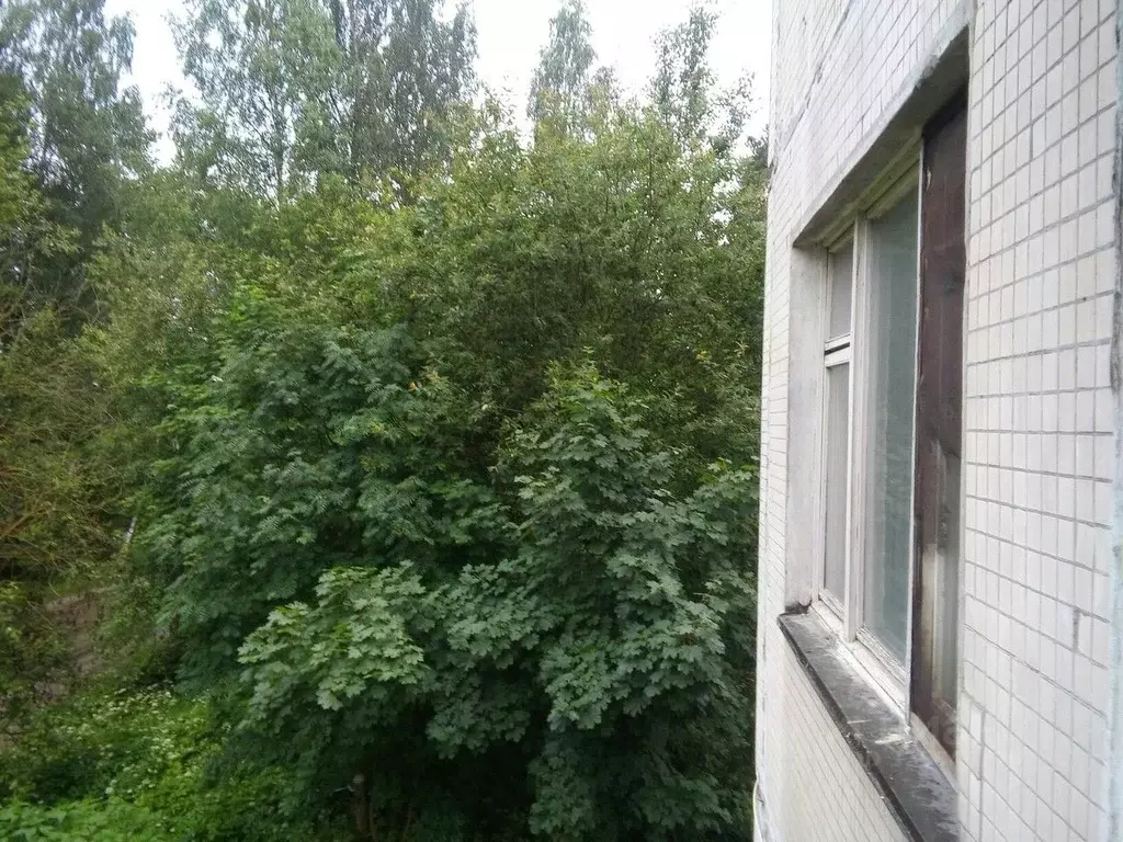 4-к кв. Ленинградская область, Гатчинский муниципальный округ, Вырица ... - Фото 1