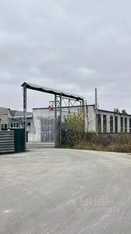 Помещение свободного назначения в Новосибирская область, Новосибирск ... - Фото 2