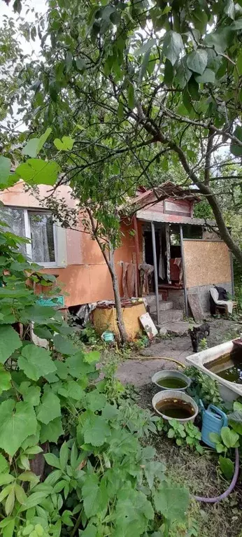 Дом в Саратовская область, Саратов проезд 4-й Ягодный, 9 (26 м) - Фото 0