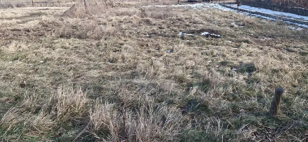 Участок 7,5 сот. (ИЖС) - Фото 0
