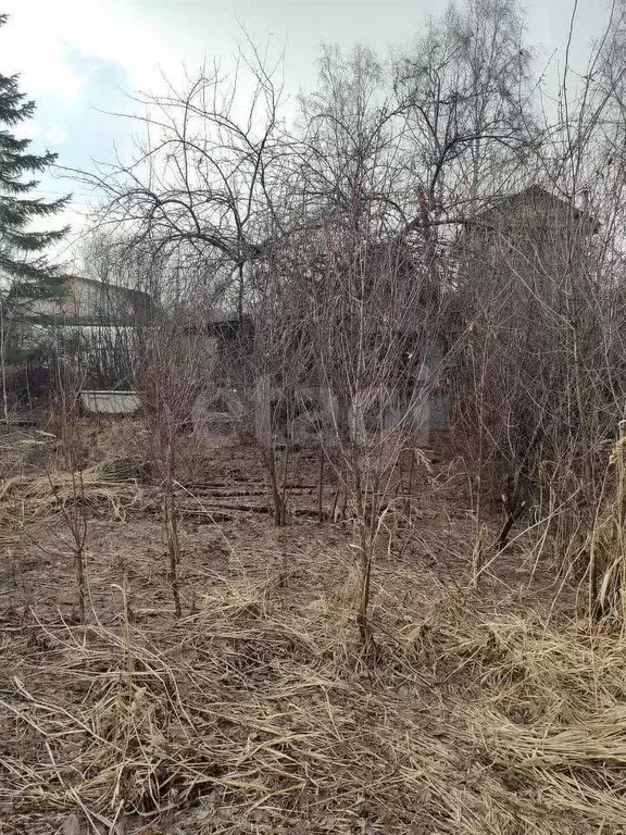Участок в Свердловская область, Нижний Тагил Домостроитель КС,  (5.7 ... - Фото 0