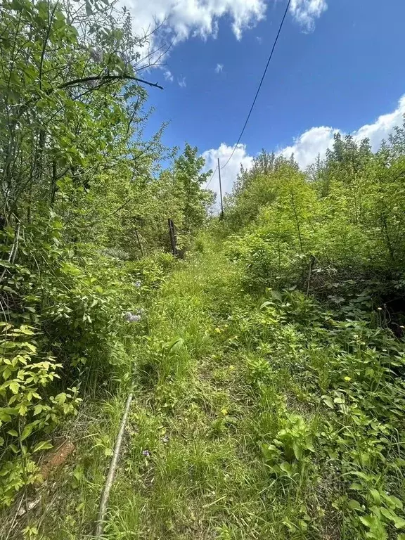 Участок в Чувашия, Чебоксары ЧЭАЗ-1 СНТ,  (5.0 сот.) - Фото 1