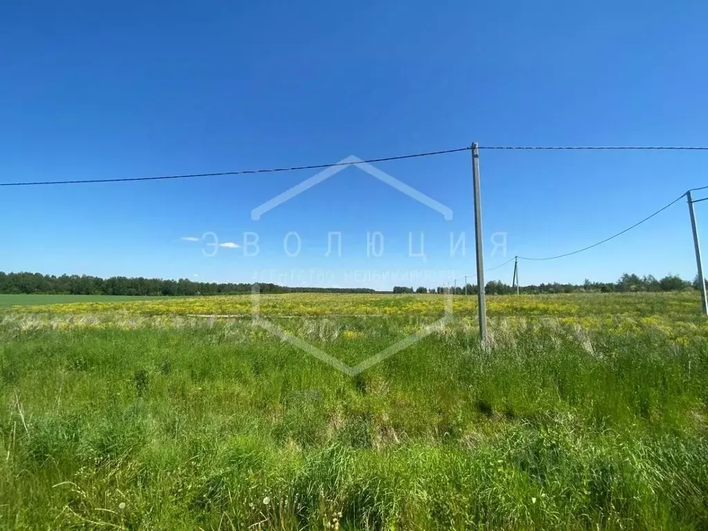 Участок в Калининградская область, Гвардейский муниципальный округ, ... - Фото 1